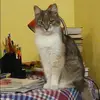Отзыв от Элла Савельева